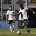 Colo Colo