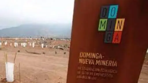 Minera Dominga