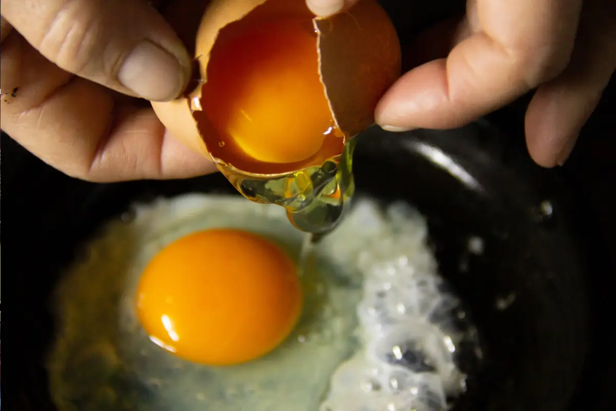 Estudio chino revela nuevos beneficios de comer huevo, 