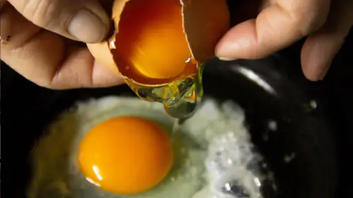 Estudio chino revela nuevos beneficios de comer huevo, 