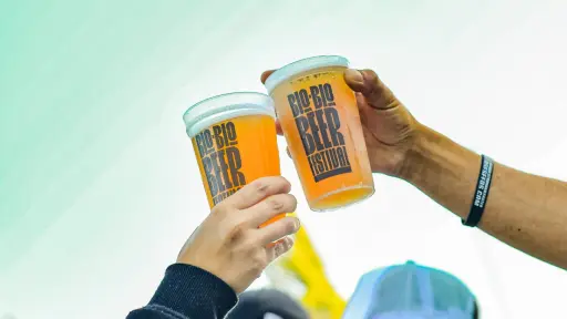 Biobío Beer Festival llega a Los Ángeles para potenciar el turismo local, 