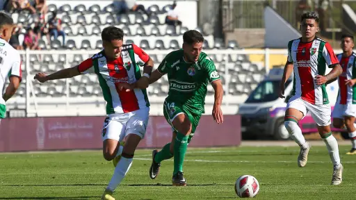 Palestino