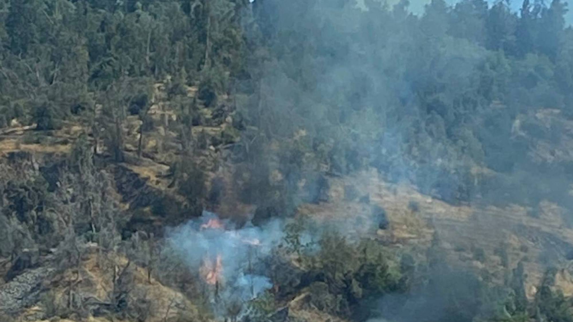 Reportan Incendio Forestal En Cerro San Cristóbal