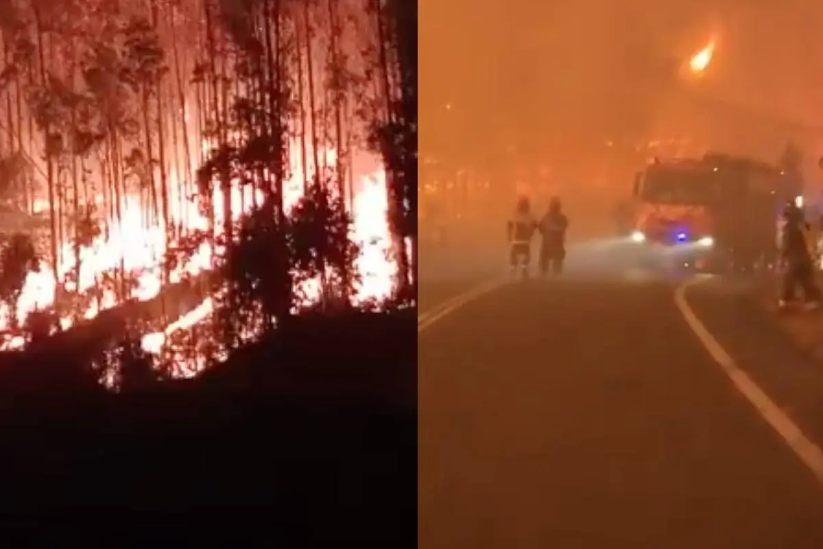 incendios forestales