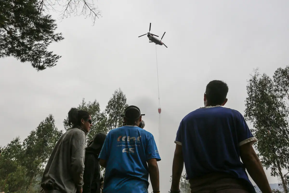 incendios forestales
