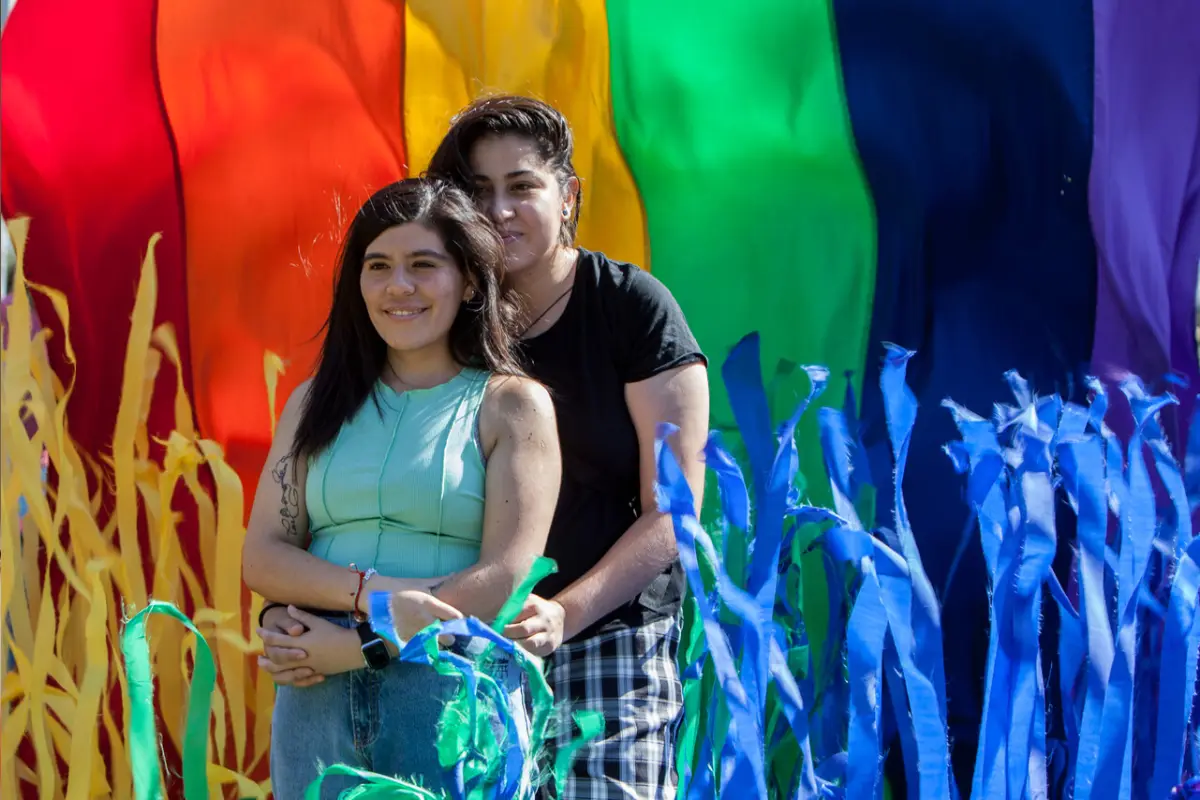 familias homoparentales tambien podran acceder al postnatal, 