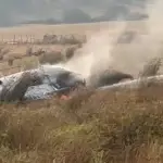 brigadistas