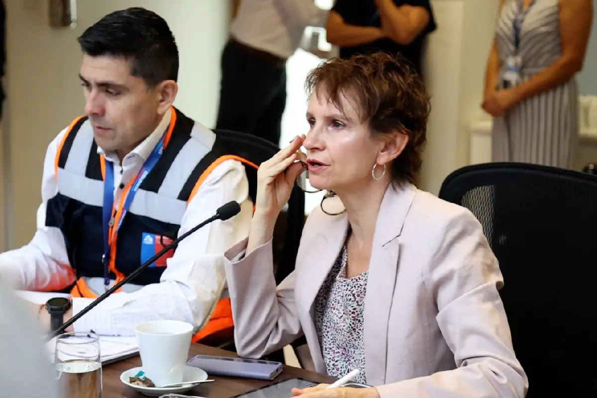 Carolina Tohá presenta preocupantes cifras sobre los incendios forestales