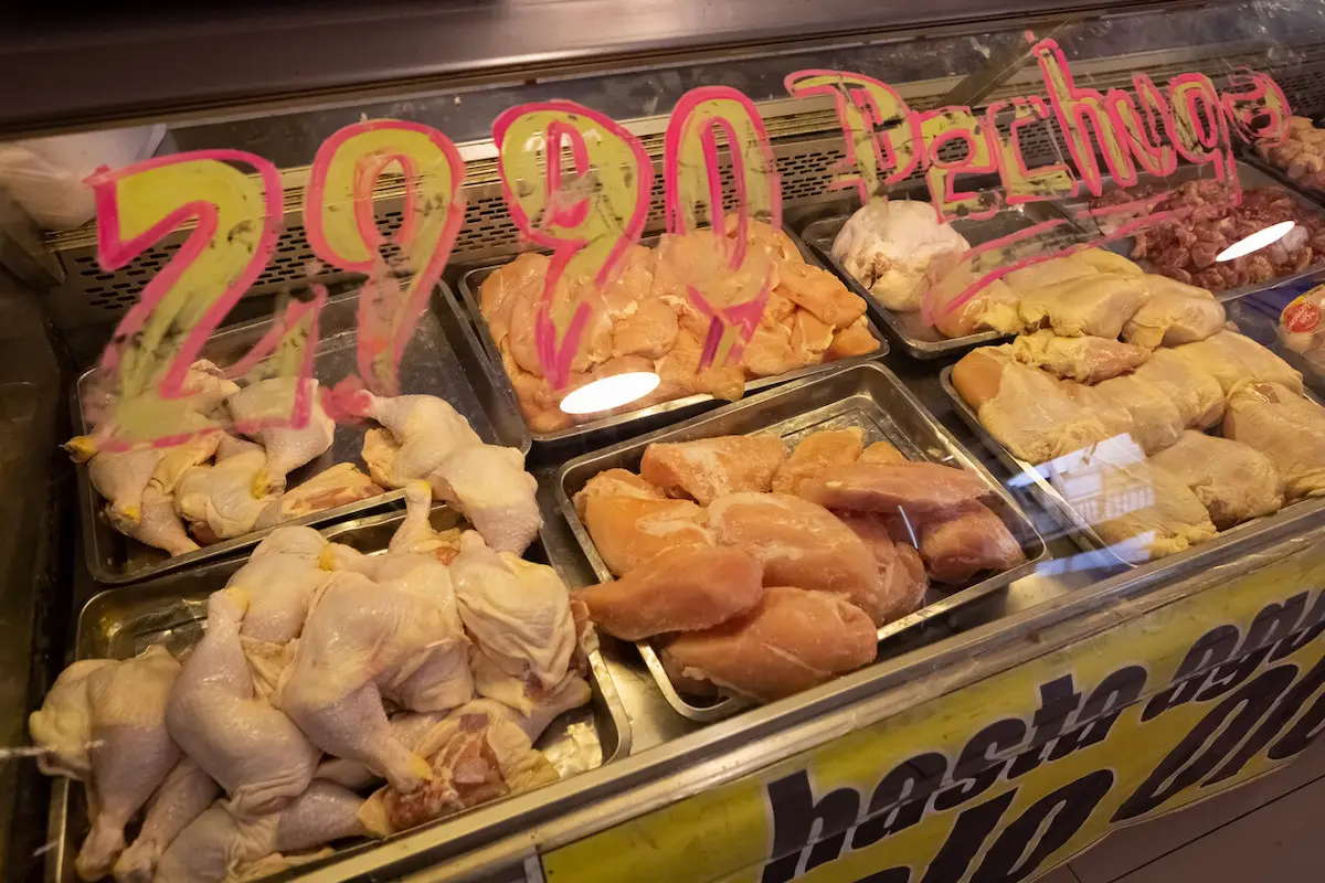 pollo