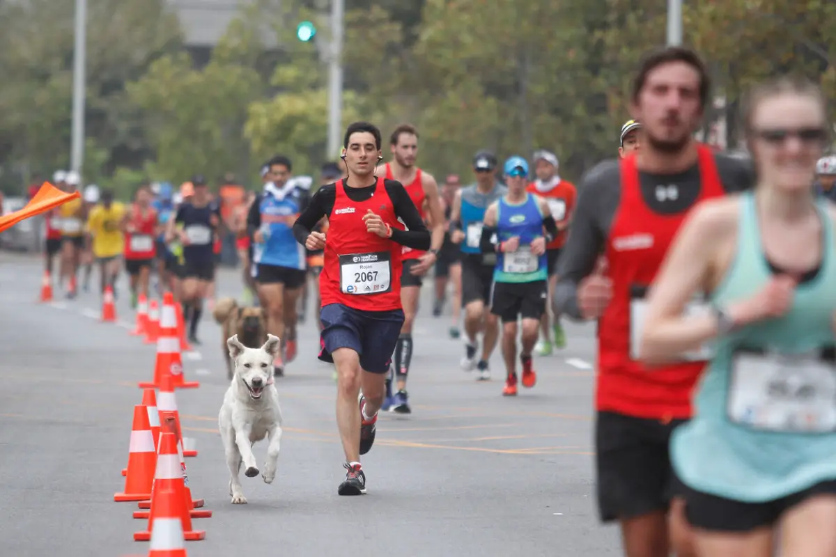 Maratón de Santiago