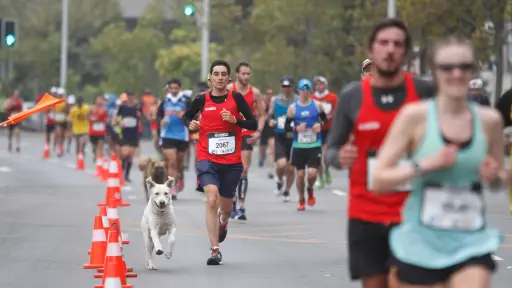 Maratón de Santiago