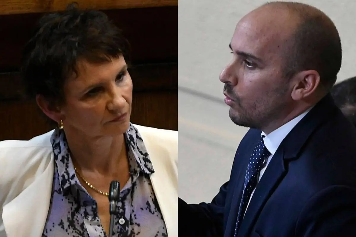 diputado longton y ministra tohá