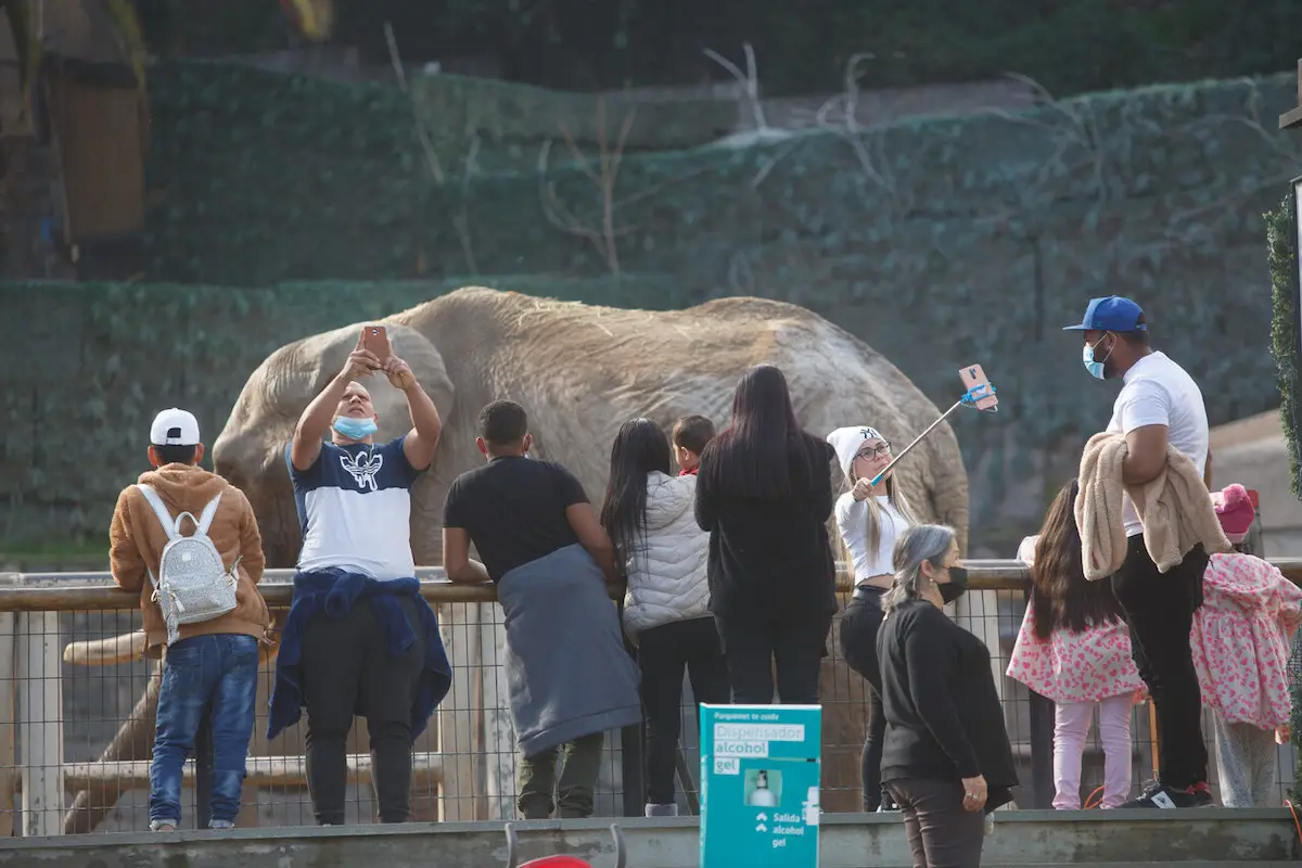 vacaciones de invierno