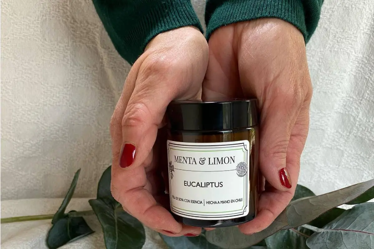 mentaylimon_cl_191899674_382086683144380_229493084170885408_n (2), 