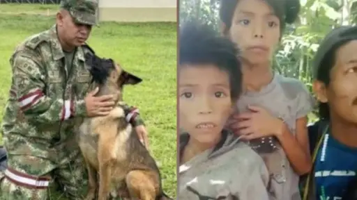 imagen general de Wilson, el perro rescatista de Colombia