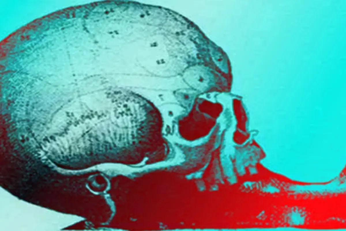 una foto en que se ve una calavera un mapa y un caracol para el test de personalidad