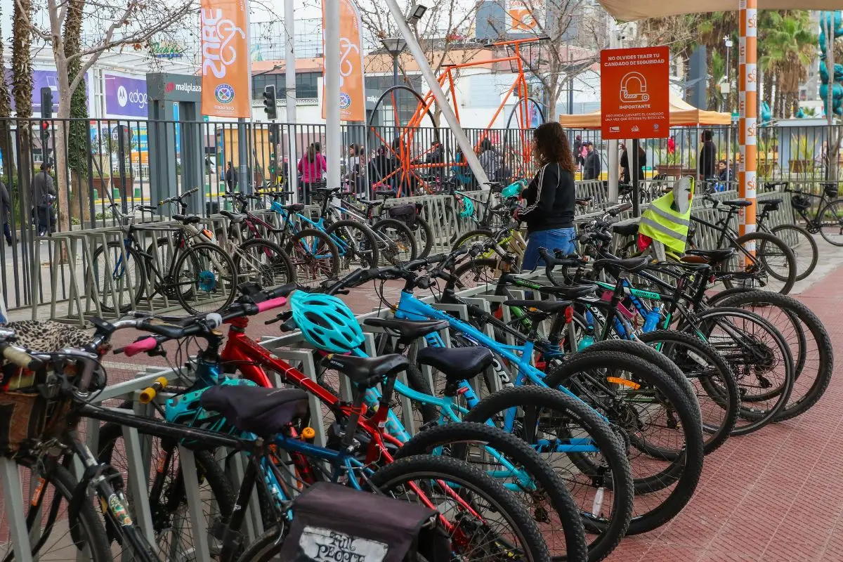 Bicicleta