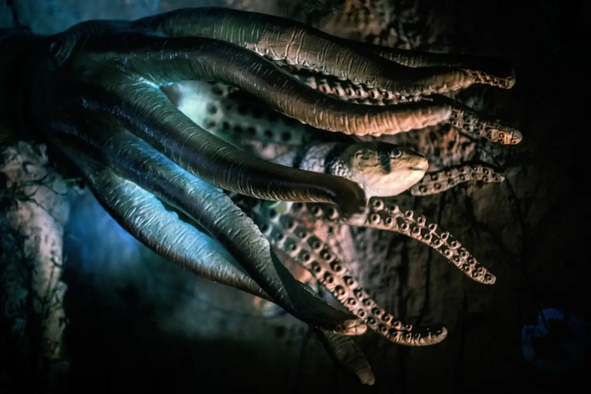 imagen de mosntruo marino, tentáculos, pez