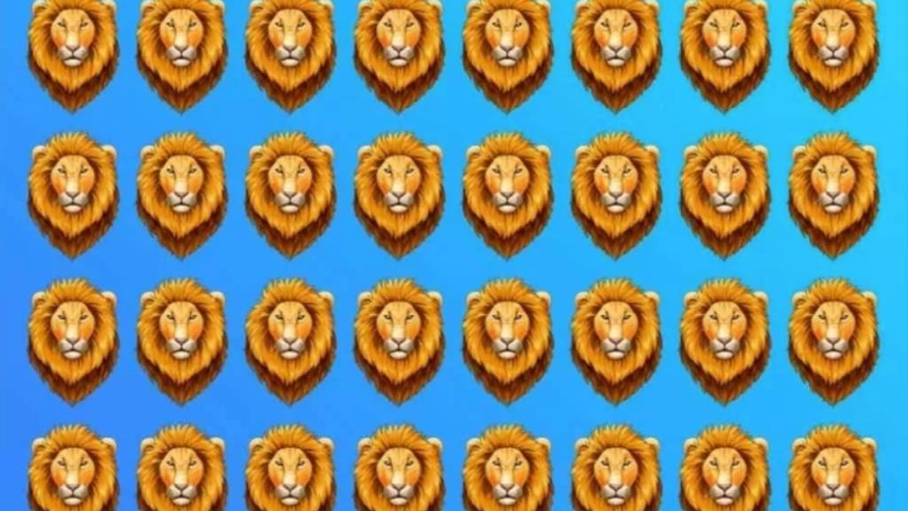 muchas cabezas de leones para el acertijo visual / 