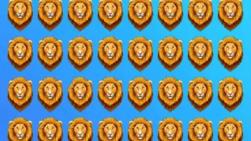 muchas cabezas de leones para el acertijo visual