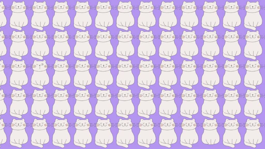 muchos gatos blancos sobre un fondo lila, para el rompecabezas visual / 