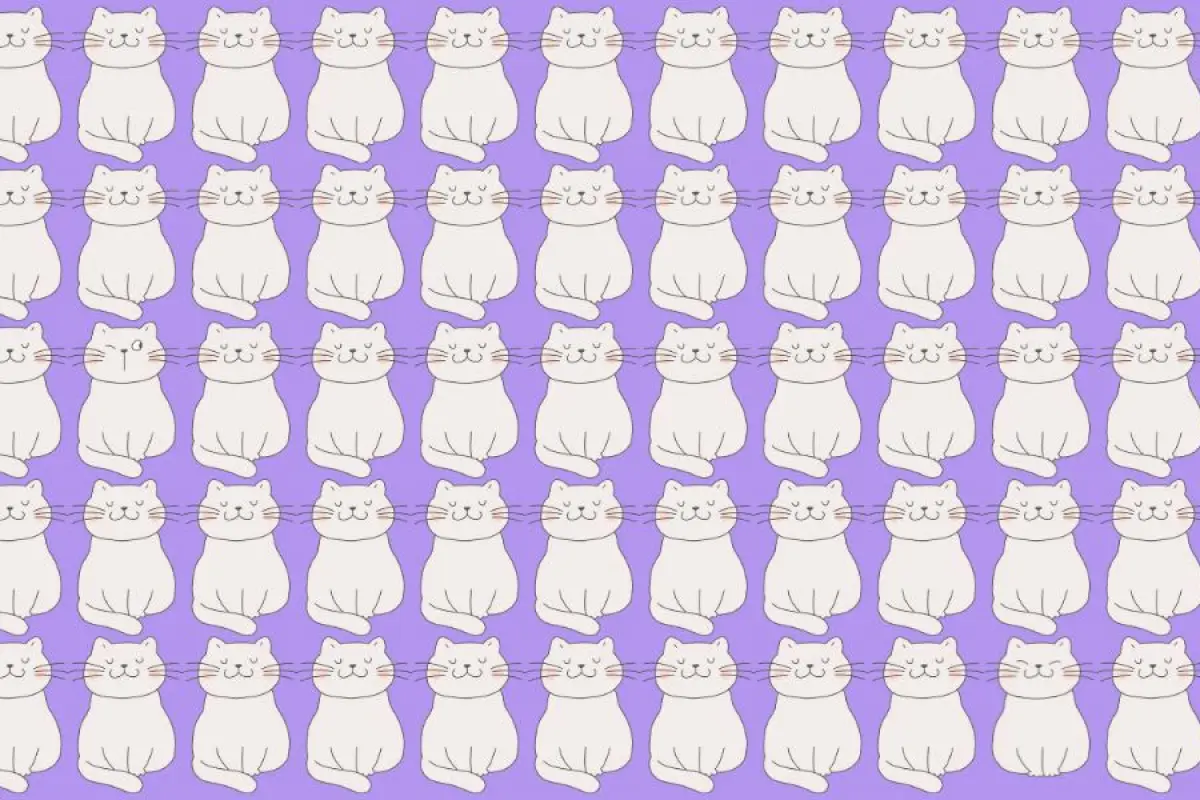 muchos gatos blancos sobre un fondo lila, para el rompecabezas visual