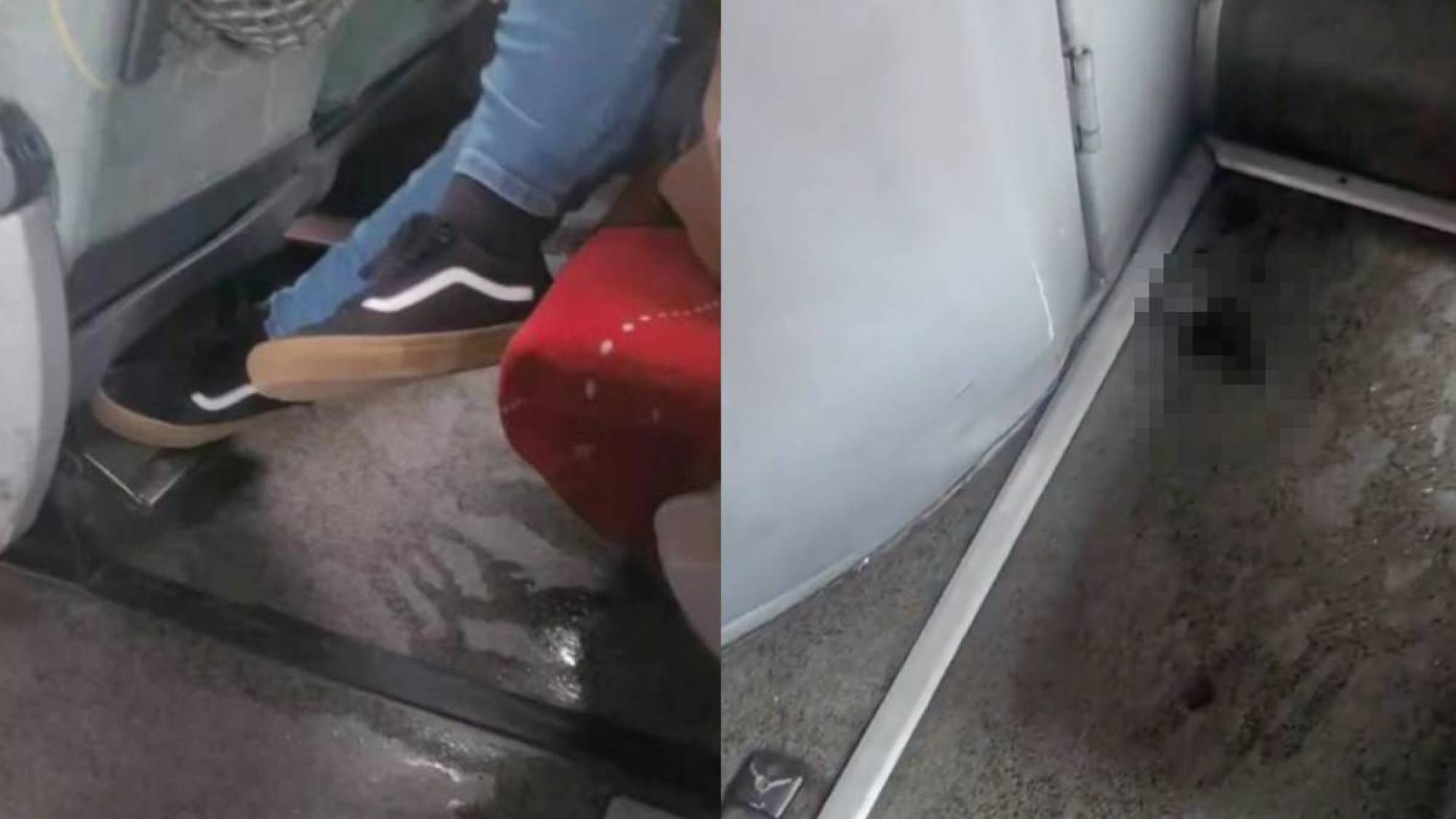 Viralizan asqueroso video de bus de Pichilemu: 