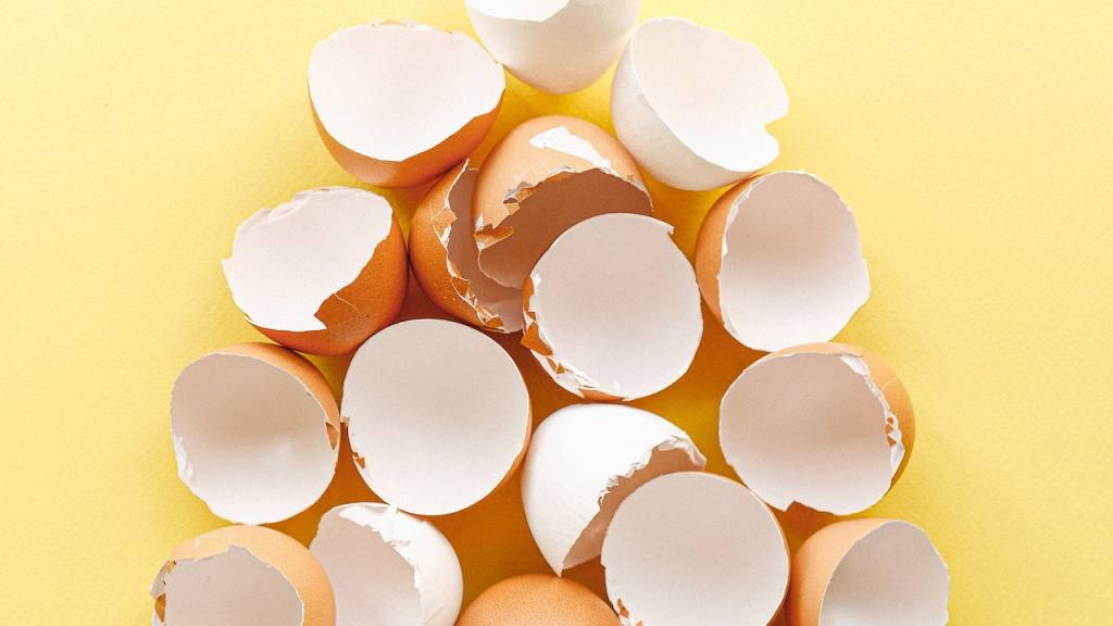 cáscaras de huevo duro sobre fondo amarillo / 