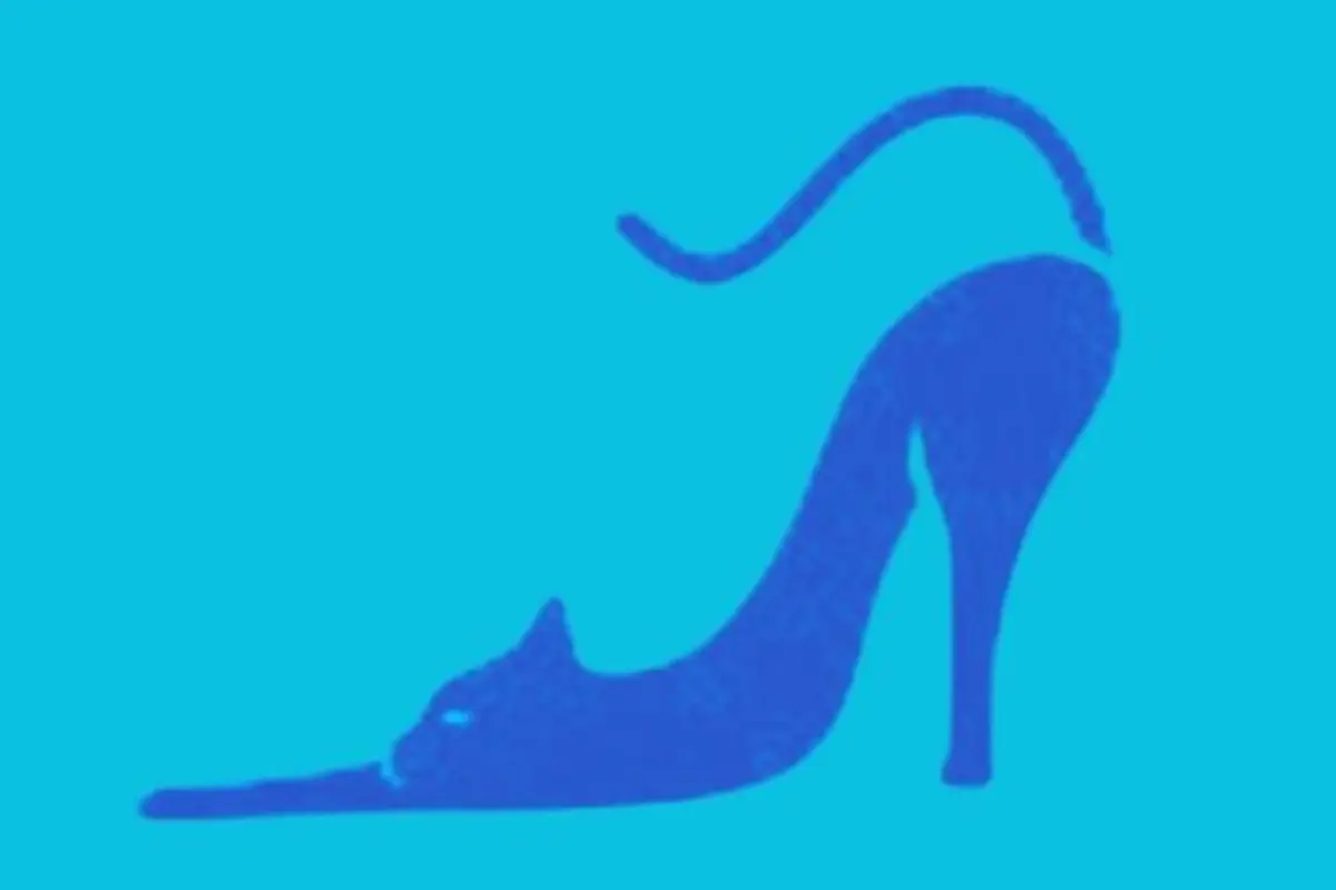 imagen de gato y zapato para el test de personalidad