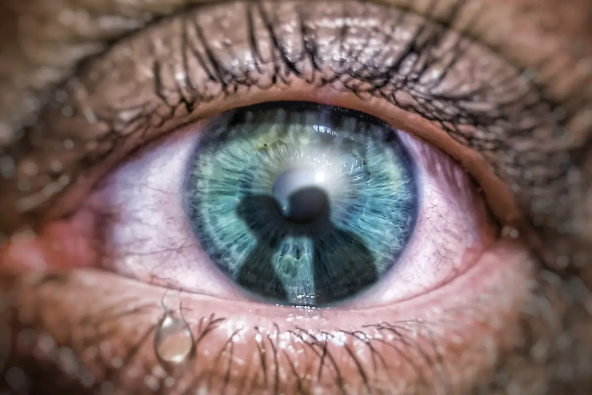 un ojo en que se refleja la silueta de dos personas besándose