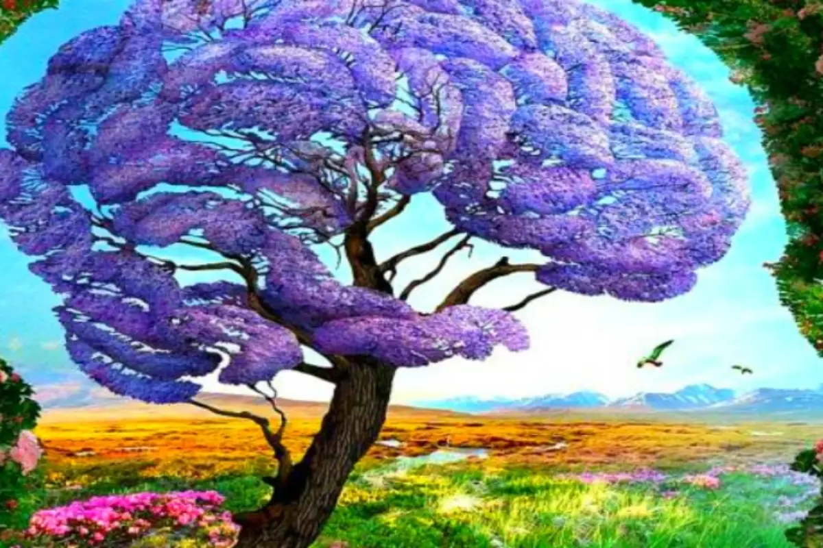 lo que ves primero en la imagen, 