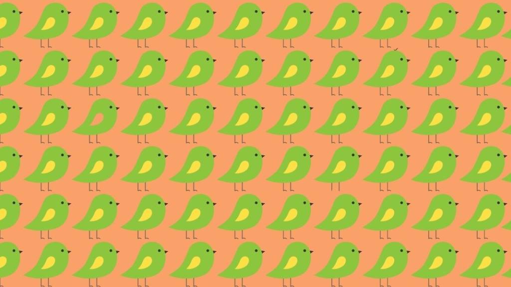 un montón de dibujos de pájaros sobre un lienzo para el desafío visual / 