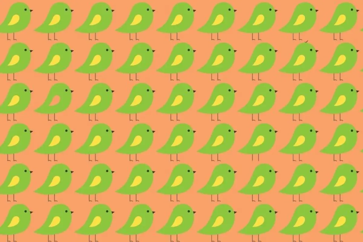 un montón de dibujos de pájaros sobre un lienzo para el desafío visual