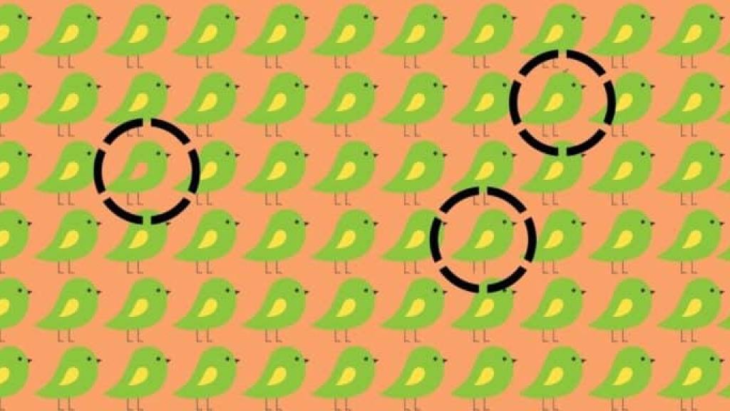 imagen con la solucion al test visual de los pajaros distintos / 