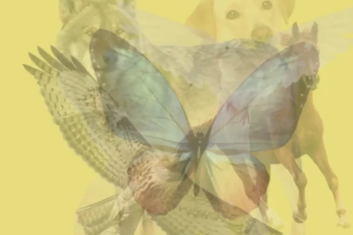 un conjunto de animales reunidos al centro de la foto sobre un fondo amarillo