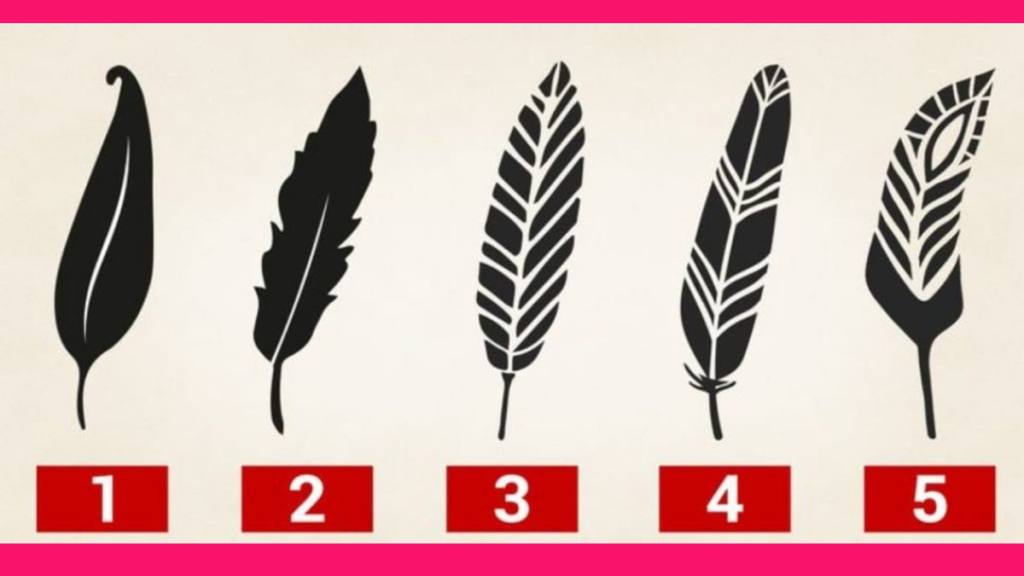 imagen de 5 plumas para elegir en el test de personalidad / 