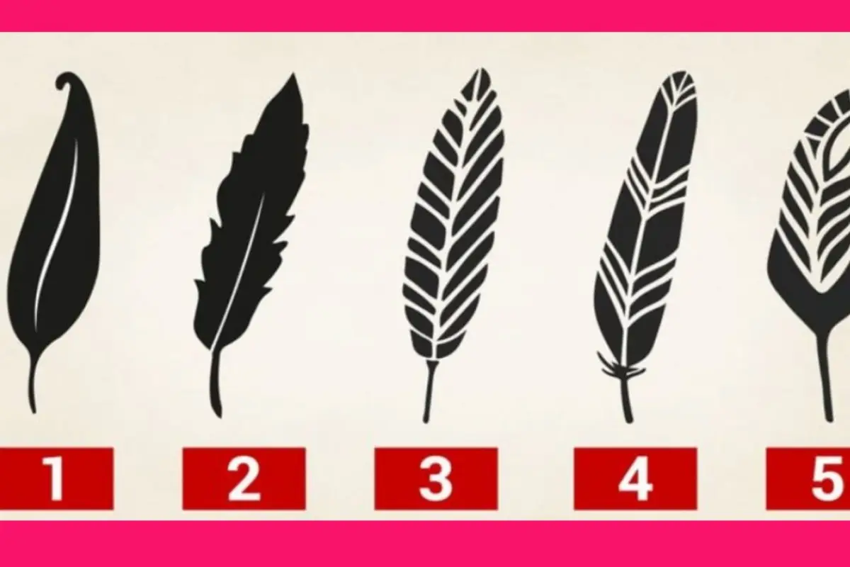 imagen de 5 plumas para elegir en el test de personalidad