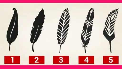 imagen de 5 plumas para elegir en el test de personalidad