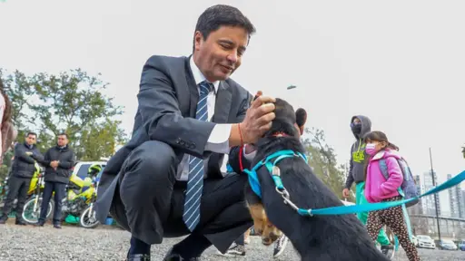 Día del Perro