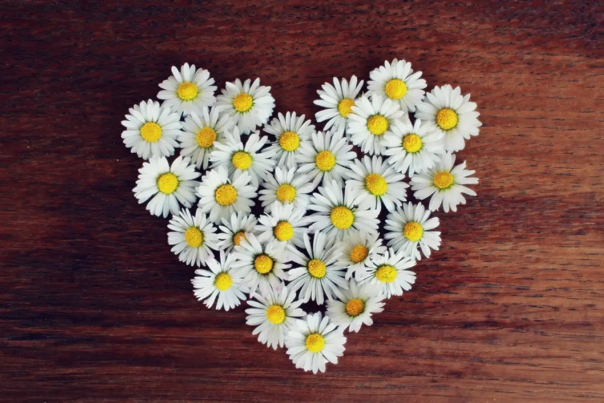 Horóscopo romántico del 21 al 27 de agosto de 2023