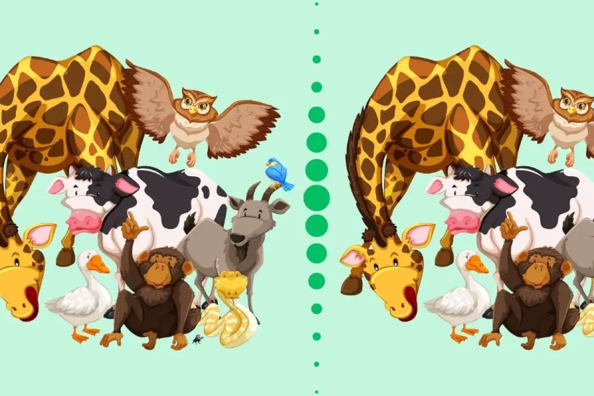 reto visual animales, 