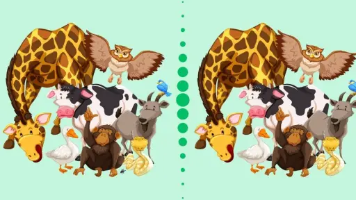 reto visual animales, 