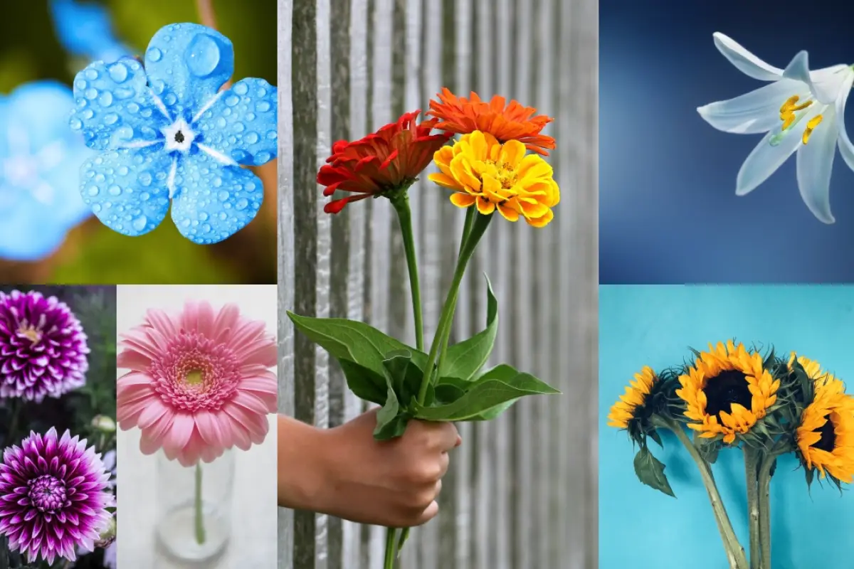 test de personalidad flores, 