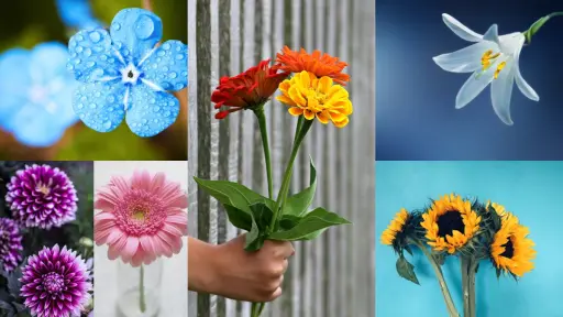 test de personalidad flores, 