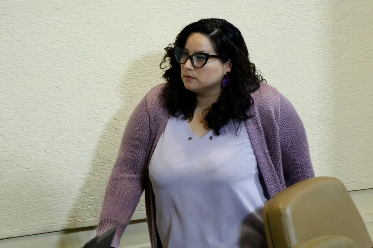 Diputada Arce