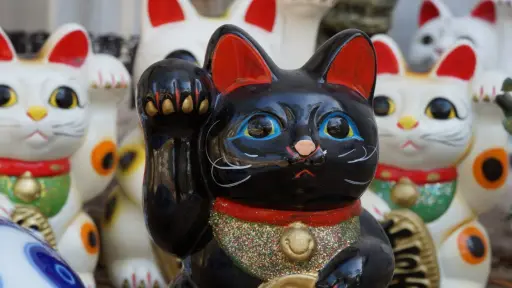tres gatos de la suerte del horoscopo chino zodiaco