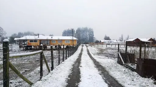 nieve