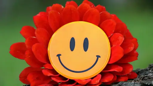 felicidad semana, 