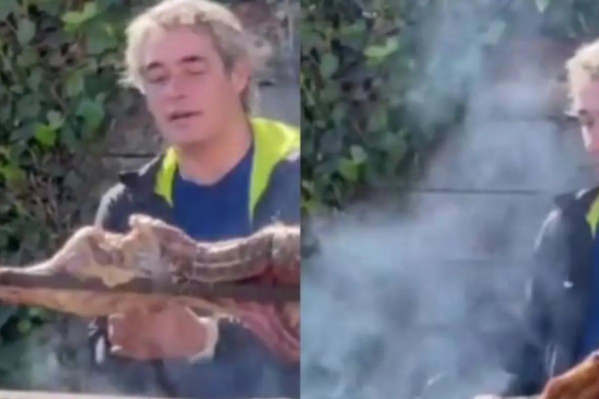 Screenshot_20230917-204909-899, 