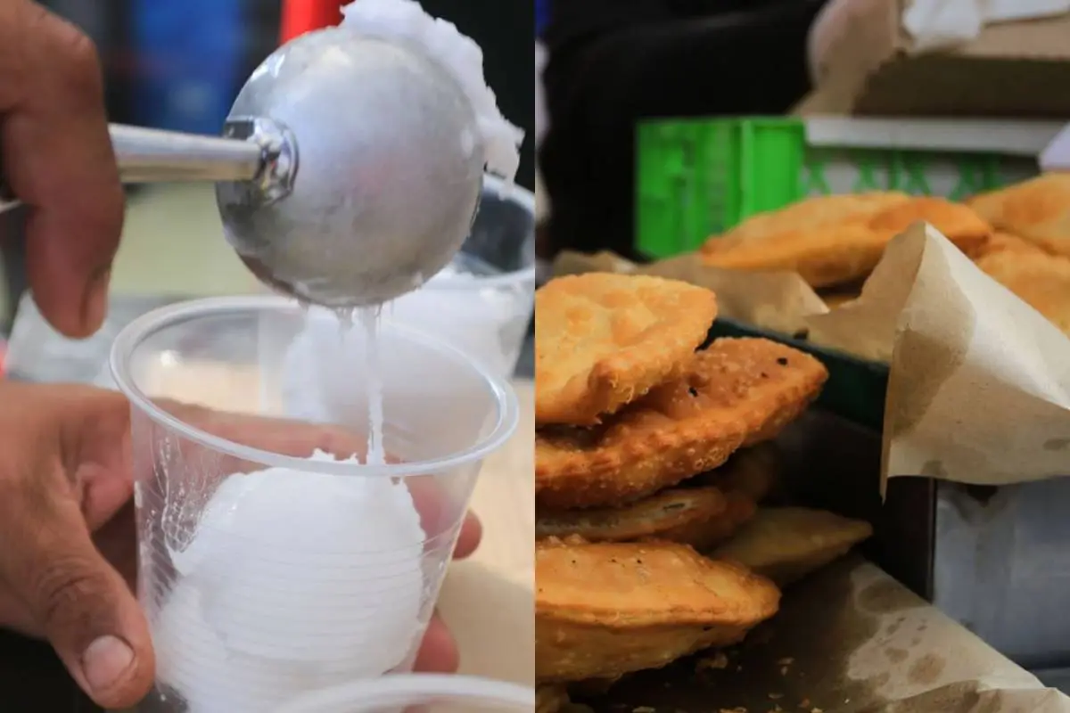 Fondas Parque O'Higgins